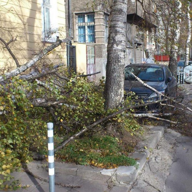 Бурният вятър е нанесъл щети върху зелената система в Сливен и в част от селата