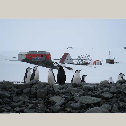 Националният природонаучен музей при БАН ще отбележи Международния ден на Антарктида