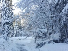 Временно е ограничено движението по път II-21 Русе – Силистра в участъка от Коларово до Зафирово