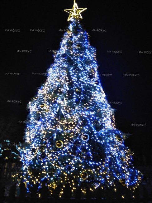 Днес ще бъдат запалени светлините на Коледната елха във Варна