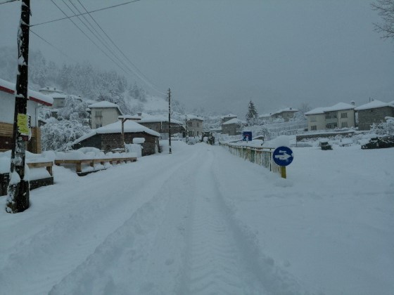 Няма бедстващи на територията на на община Асеновград, имало е прекъсване на тока за кратко в селата Тополово, Новаково, Мостово и Орешец