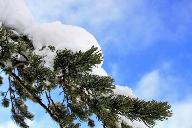 НИМХ: Днес валежи предимно от сняг ще има на места в Източна България