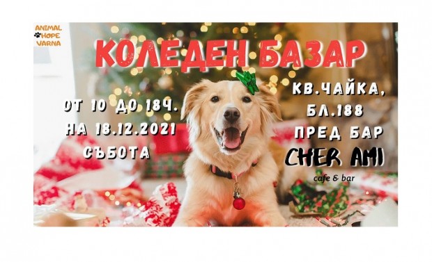 Коледен базар в подкрепа на бездомните животни се провежда днес във Варна