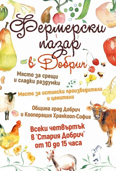 Отменя се празничното издание на Фермерския пазар "Вкусът на Добруджа" в Добрич поради неблагоприятни метеорологични условия