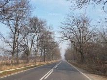 Временно е ограничено движението и в двете посоки по път I-5 Русе - Бяла в района на Волово поради репатриране на тежкотоварен камион