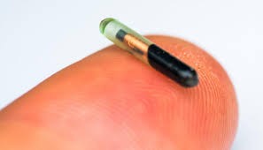 Daily Express: Шведска компания създаде Covid-микрочип, който се имплантира под кожата