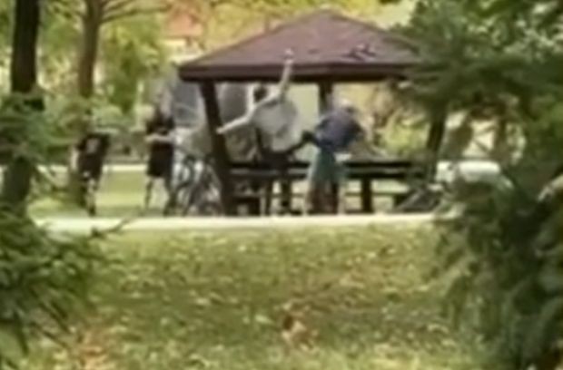 Пловдивската полиция издирва младежите били възрастен мъж в парка Информацията