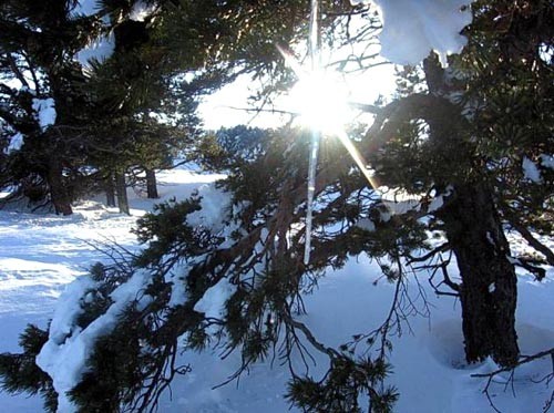 Туристическо дружество "Осогово" организира снежен празник в Осоговска планина