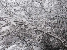 НИМХ: Максималните температури днес ще бъдат между минус 3° и 2°, в София около минус 3°