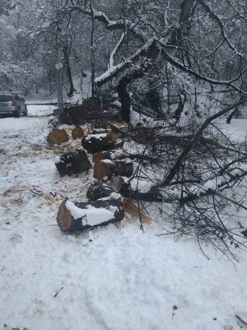 Община Благоевград с навременна реакция предвид снеговалежите, достави храна по програма "Топъл обяд" и в труднопроходимите махали в селата