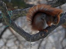 НИМХ:Дневните температури утре ще се повишат и максималните ще са между 8° и 13°, в София – около 8°