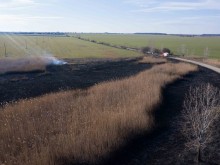 Пожар изгори 15 декара тръстики в защитена зона Дуранкулашко езеро