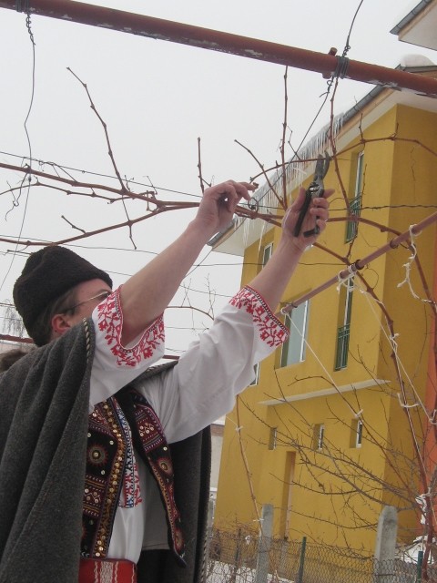 Празник на лозето и виното ще се проведе в Каварна