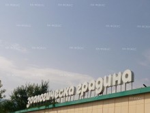 Добромир Бориславов, директор на столичния зоопарк: Полярната сова е щастлива от появата на сняг, камилите – не