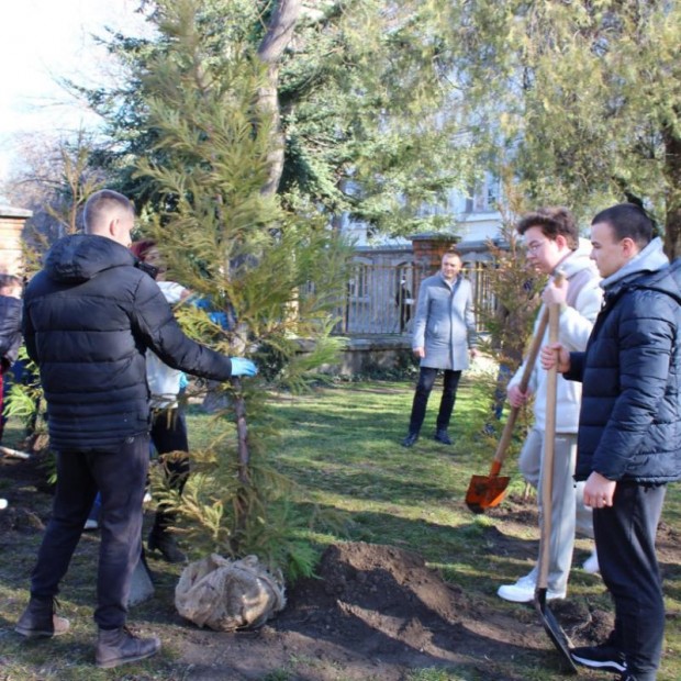 Ученици садиха дръвчета пред Хуманитарната гимназия в Пловдив