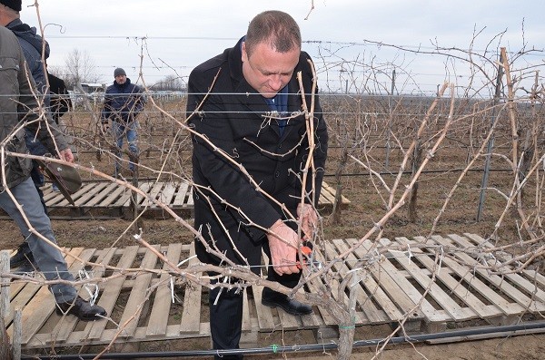 Георги Мечков бе коронован за Цар на виното в село Дъбрава. Кметът Илко Стоянов награди отличени винопроизводители