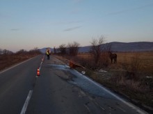 Водачът на каруцата, пострадал при катасрофата на пътя Руен - Просеник, е без тежки наранявания