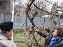 На Трифон Зарезан Корнелия Нинова заряза ритуално лозите в Лесново