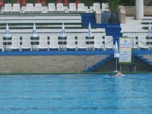 ПСК "Черно море" е отборен шампион на Sharks Swimming Cup