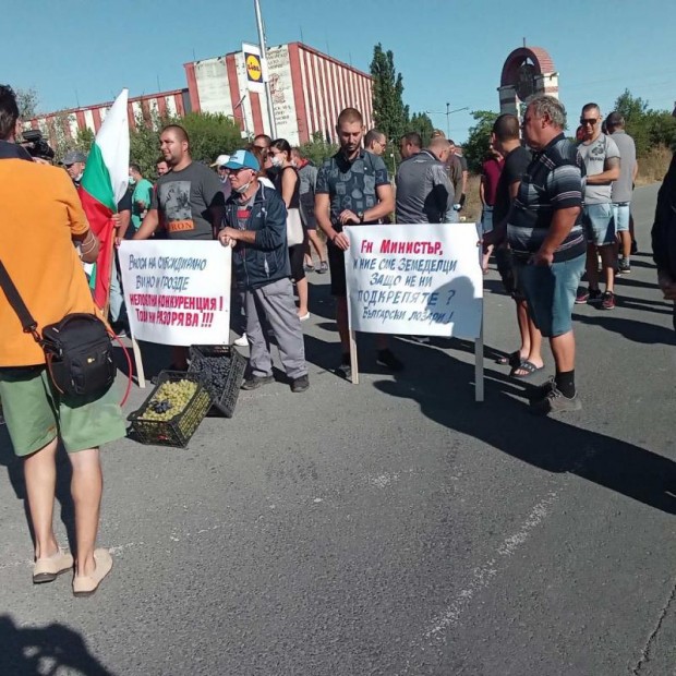 "Национално сдружение на българските лозари" ще проведе протести в Пловдив, Монтана, Плевен, Поморие и Харманли