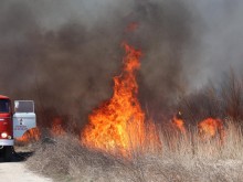 Суха растителност и тръстика са засегнати от пожар в защитена местност "Калимок-Бръшлен" вчера