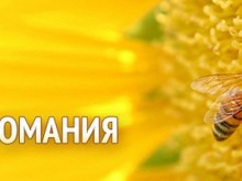 Добрич е домакин на специализираното изложение "Пчеломания"