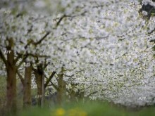 НИМХ: Утре ще бъде топло, с максимални температури между 19° и 24°