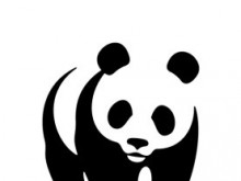 WWF представя първото мащабно проучване на закононарушенията срещу дивата природа у нас