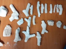 24 парчета от корали, защитени по CITES, откриха митнически служители на Летище София