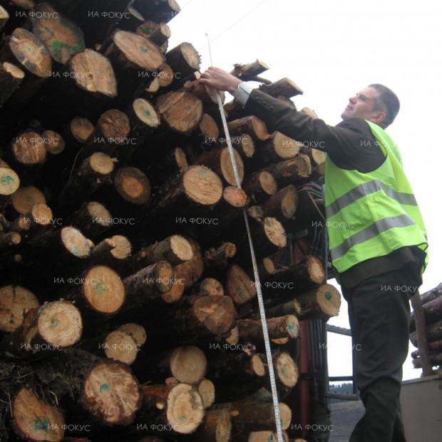 Спряна е дейността на обект за складиране, преработване и експедиране на дървесина в Етрополе
