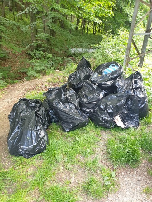 Ученици, горски и експерти на РИОСВ - Шумен почистиха защитена местност "Божур поляна" в Търговище