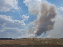 Няма превишаване на средночасовите норми за опазване на човешкото здраве след пожара край Пазарджик