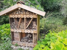 Хотел за насекоми удивлява посетителите в Ботаническата градина в Балчик