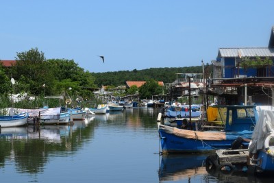 Фестивал на рибата ще се проведе на 17-18 юни в Културно- туристически комплекс "Ченгене скеле"