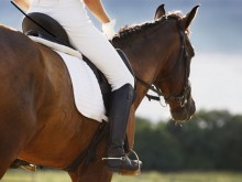 В Екопарк Варна ще се проведе урок по конна езда