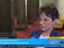 Ирена Анастасова, БСП: Хората не искат избори, а държавата да им помогне в тези тежки времена