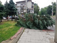 В Русе започна отстраняването на щетите, нанесени от силната буря тази сутрин