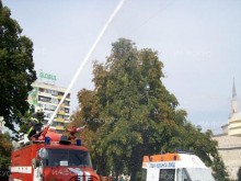 Пожарникари спасиха две 10-годишни деца от Бенковски