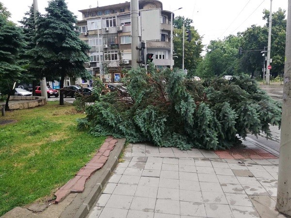 Силна буря нанесе щети в Русе