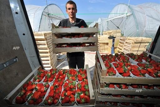Предстои шести фермерски пазар за местни производители в Сливен