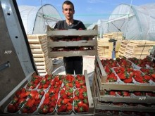 Предстои шести фермерски пазар за местни производители в Сливен