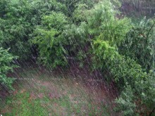 Аварийните екипи на Столична община реагират на сигнали от проливния дъжд в София