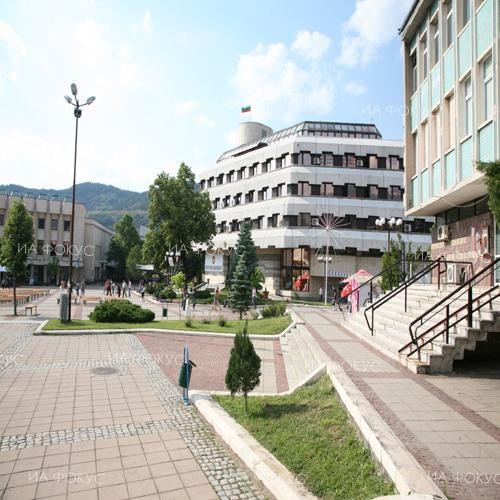Ограничава се движението по улица "Цар Освободител" в Дупница заради кастрене на дървета