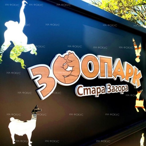 Изцяло обновеният зоопарк в Стара Загора отваря врати на 24 юни