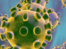 25 нови случая на коронавирусна инфекция са регистрирани в област Хасково за периода от 13 до 19 юни 2022 г., включително