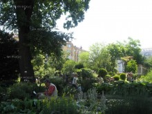 Ботаническите градини на Софийския университет "Св. Климент Охридски" отбелязват 130 години от създаването си