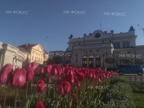 НИМХ: Утре преди обяд ще е предимно слънчево