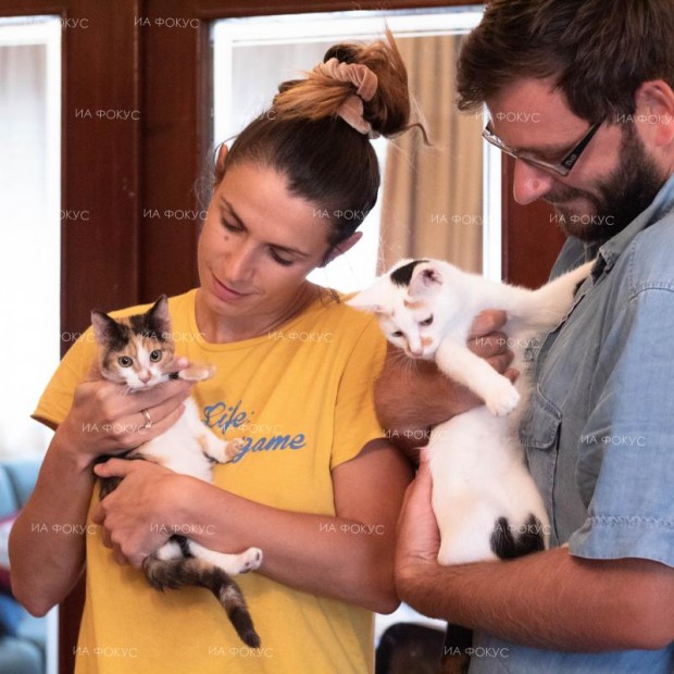 Сдружение "Малките големи" е подело инициатива за създаване на приют за котки в град Балчик