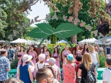 Стотици гости събра празникът на черешата в Кюстендил