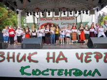 Череша с диаметър 36 милиметра е най-едрата тази година на Празника на черешата в Кюстендил